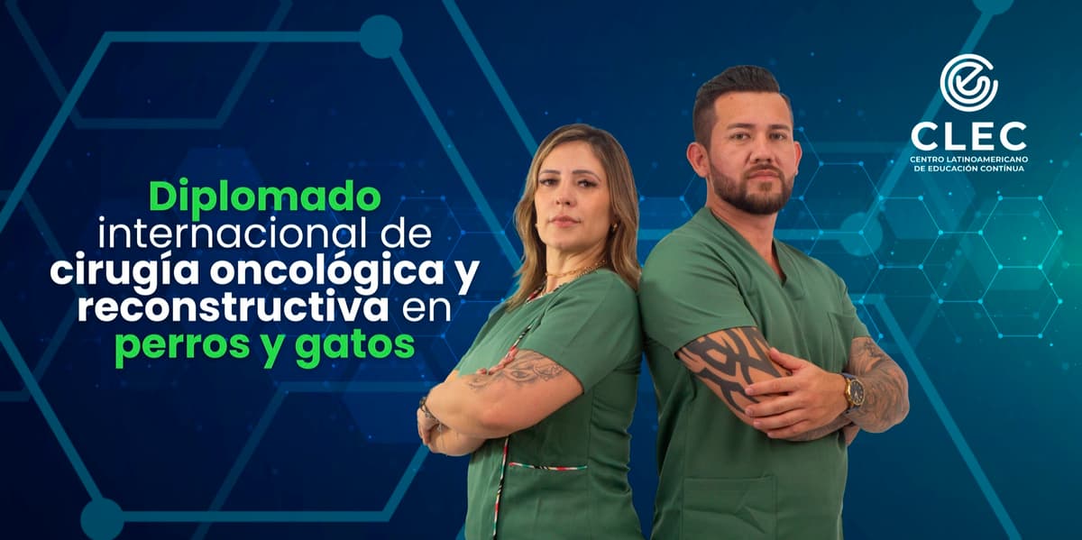 Cursos destacados