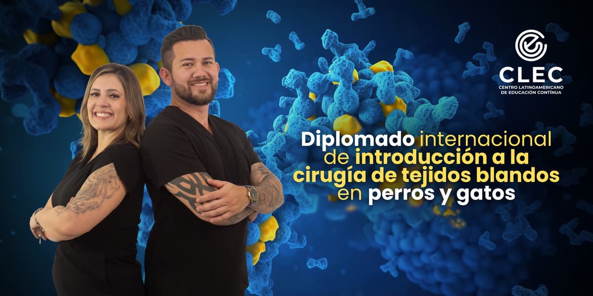 Cursos destacados